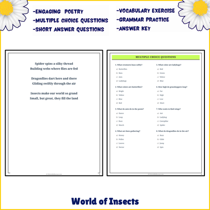 World of Insects | Poem Grammar Worksheet Printable Activity