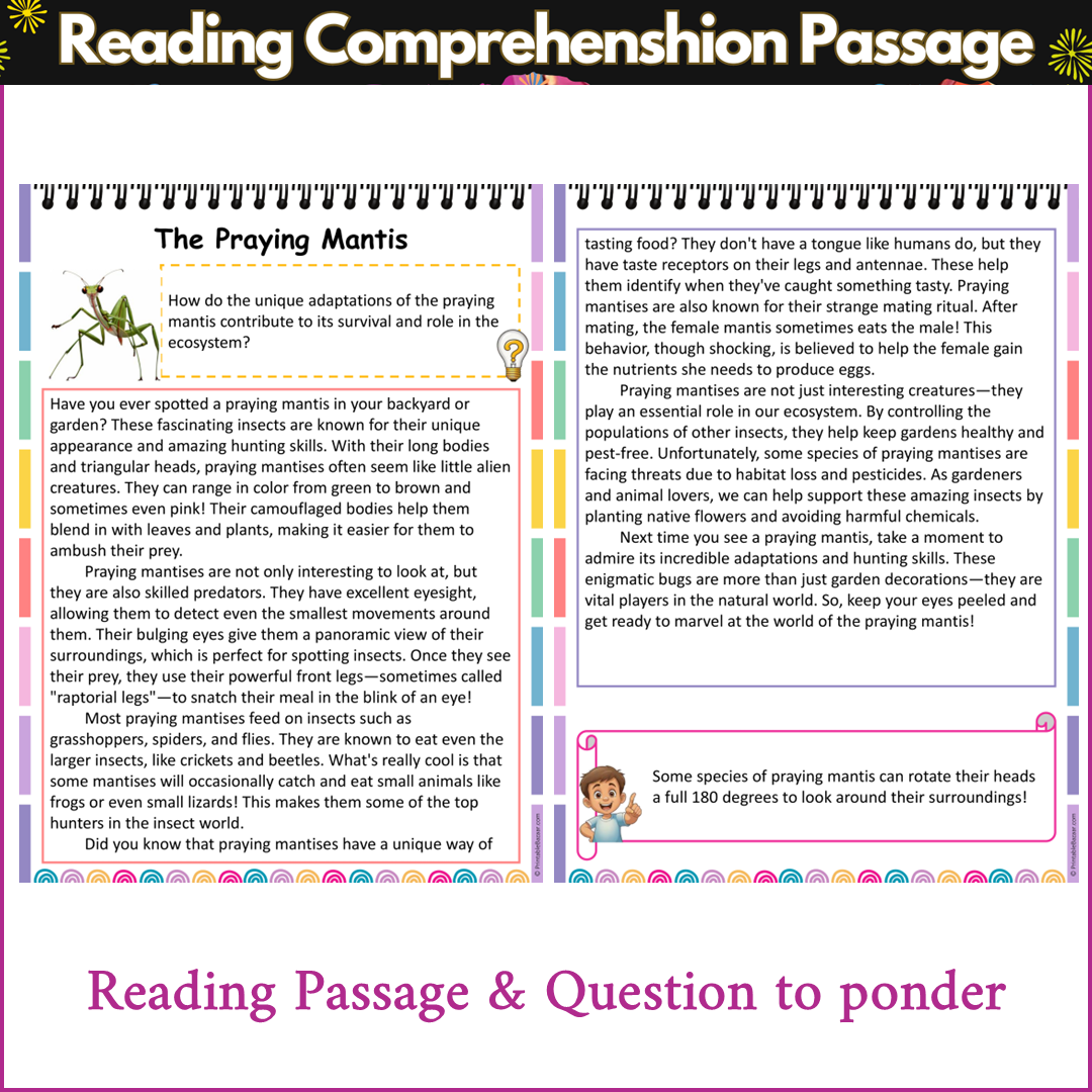 The Praying Mantis | Reading Comprehension Passage and Questions