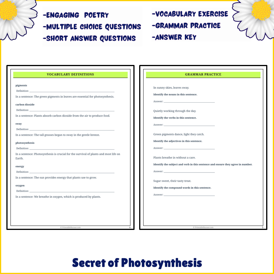 Secret of Photosynthesis | Poem Grammar Worksheet Printable Activity