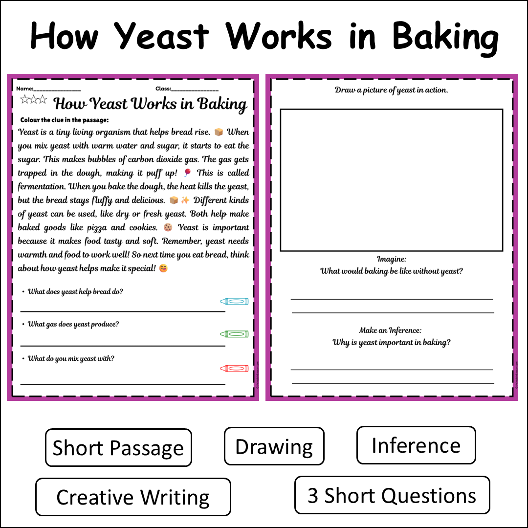 How Yeast Works in Baking | Short Reading Comprehension Creative Worksheet