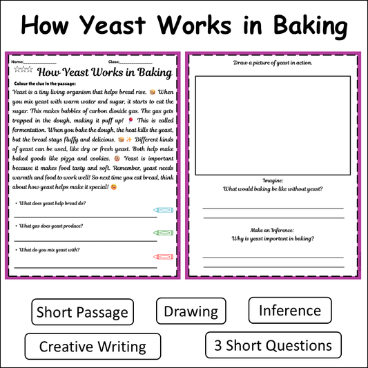 How Yeast Works in Baking | Short Reading Comprehension Creative Worksheet