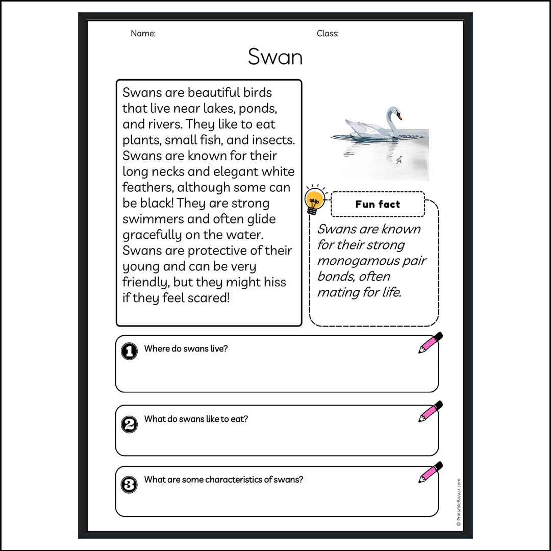 Swan | Reading Passage Comprehension Questions Writing Facts Worksheet