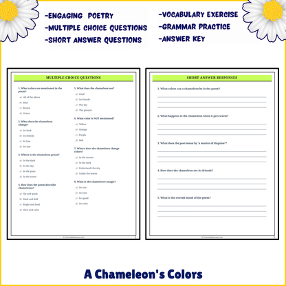 A Chameleon's Colors | Poem Grammar Worksheet Printable Activity