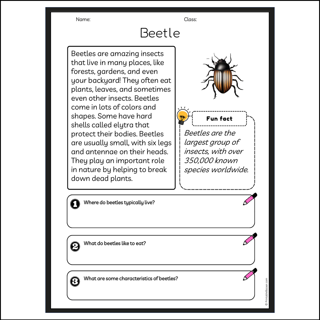 Beetle | Reading Passage Comprehension Questions Writing Facts Worksheet