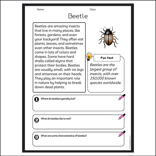 Beetle | Reading Passage Comprehension Questions Writing Facts Worksheet