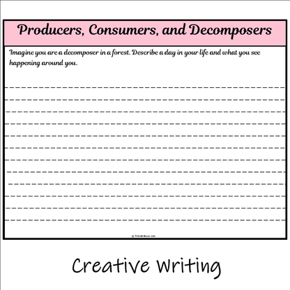 Producers, Consumers, and Decomposers | Main Idea and Supporting Details Reading Passage and Questions