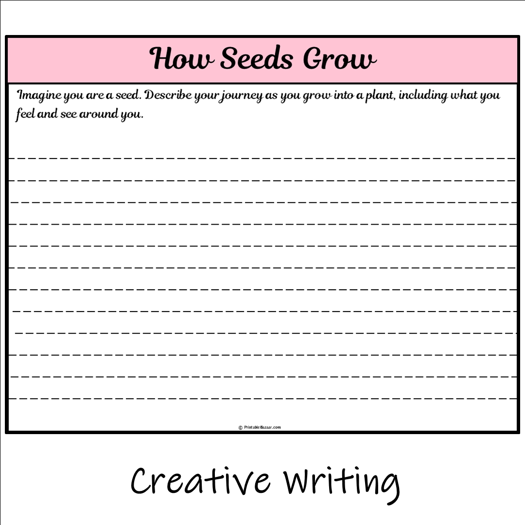 How Seeds Grow | Main Idea and Supporting Details Reading Passage and Questions