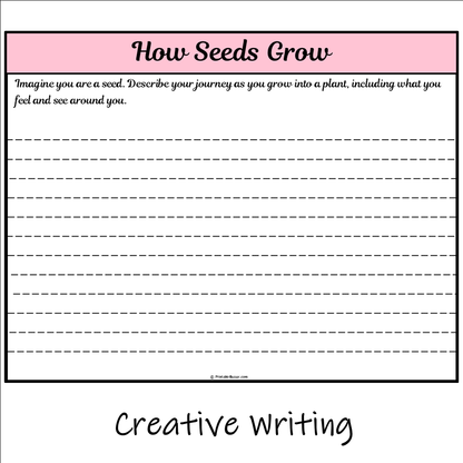 How Seeds Grow | Main Idea and Supporting Details Reading Passage and Questions