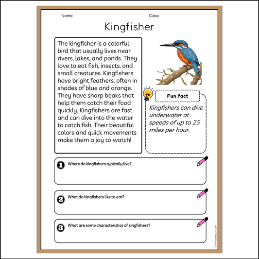 Kingfisher | Reading Passage Comprehension Questions Writing Facts Worksheet