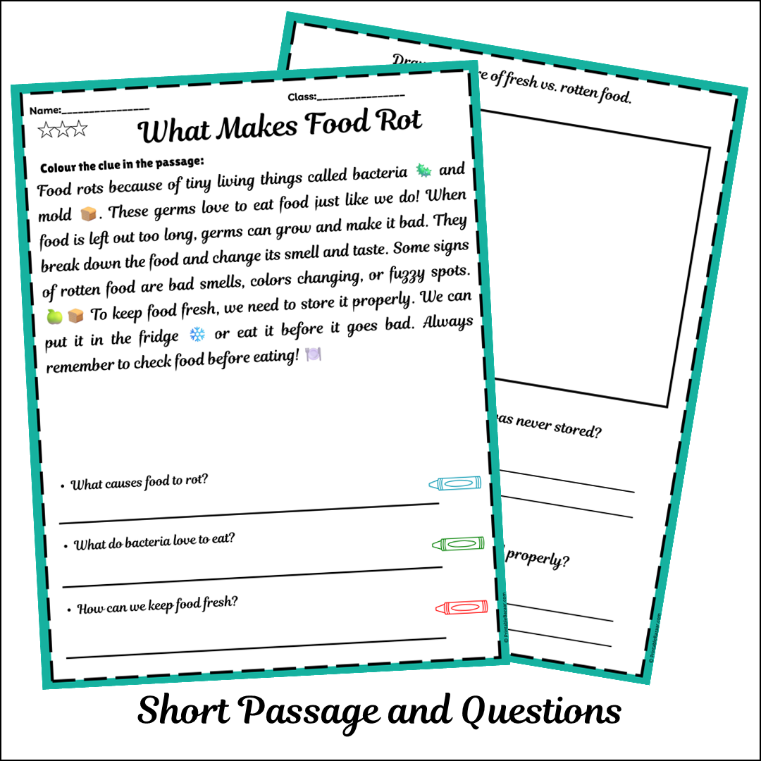 What Makes Food Rot | Short Reading Comprehension Creative Worksheet