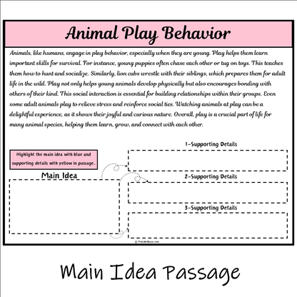 Animal Play Behavior | Main Idea and Supporting Details Reading Passage and Questions