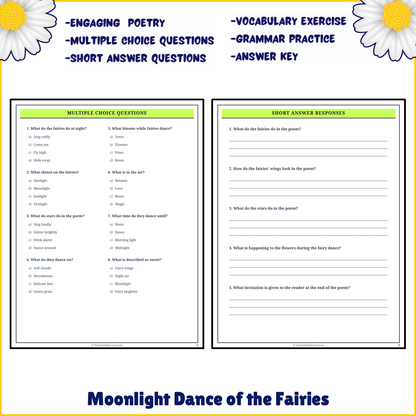 Moonlight Dance of the Fairies | Poem Grammar Worksheet Printable Activity