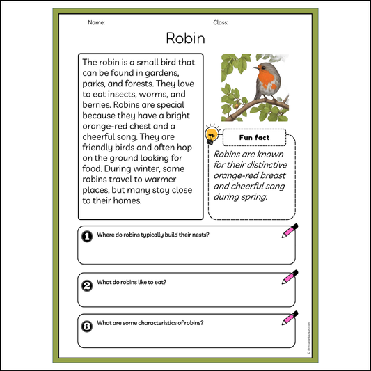 Robin | Reading Passage Comprehension Questions Writing Facts Worksheet