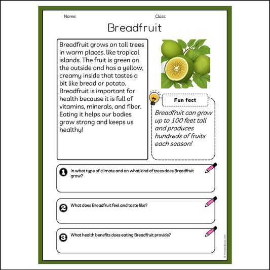 Breadfruit | Reading Passage Comprehension Questions Writing Facts Worksheet