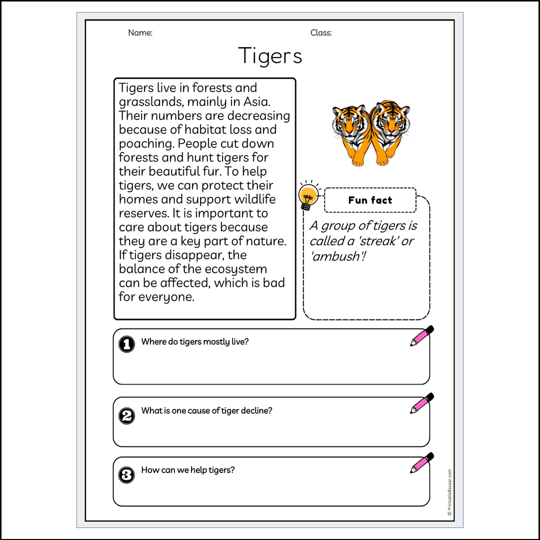 Tigers | Reading Passage Comprehension Questions Writing Facts Worksheet