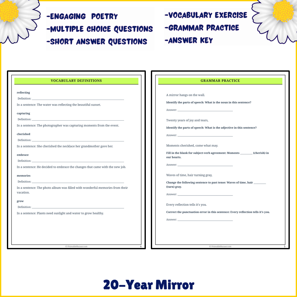 20-Year Mirror | Poem Grammar Worksheet Printable Activity