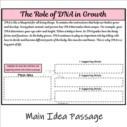 The Role of DNA in Growth | Main Idea and Supporting Details Reading Passage and Questions