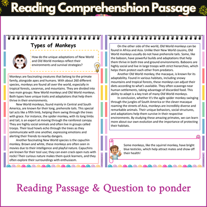 Types of Monkeys | Reading Comprehension Passage and Questions