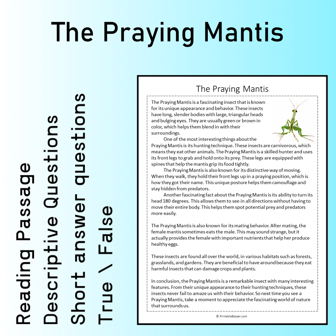 The Praying Mantis | Reading Comprehension Passage Printable Worksheet