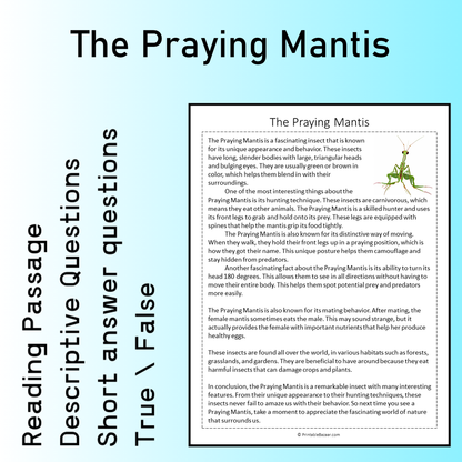 The Praying Mantis | Reading Comprehension Passage Printable Worksheet