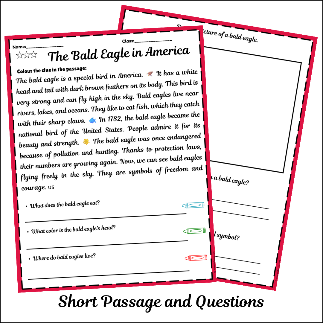 The Bald Eagle in America | Short Reading Comprehension Creative Worksheet