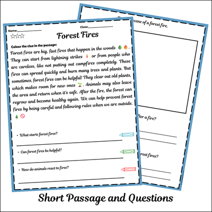 Forest Fires | Short Reading Comprehension Creative Worksheet
