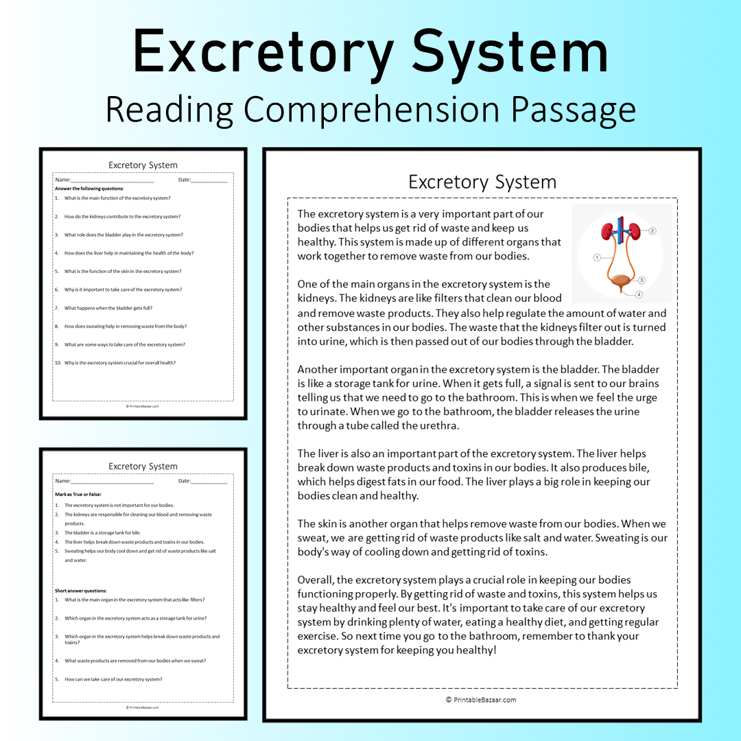 Excretory System | Reading Comprehension Passage Printable Worksheet
