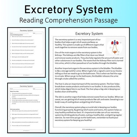 Excretory System | Reading Comprehension Passage Printable Worksheet