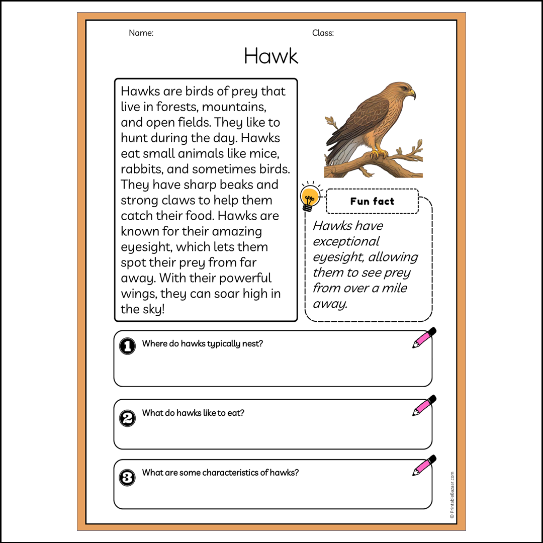 Hawk | Reading Passage Comprehension Questions Writing Facts Worksheet