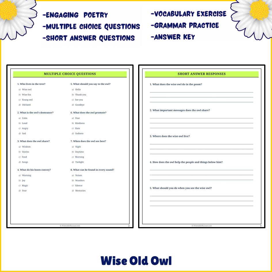 Wise Old Owl | Poem Grammar Worksheet Printable Activity