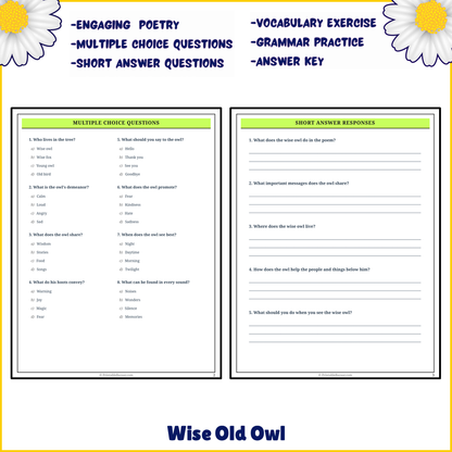 Wise Old Owl | Poem Grammar Worksheet Printable Activity