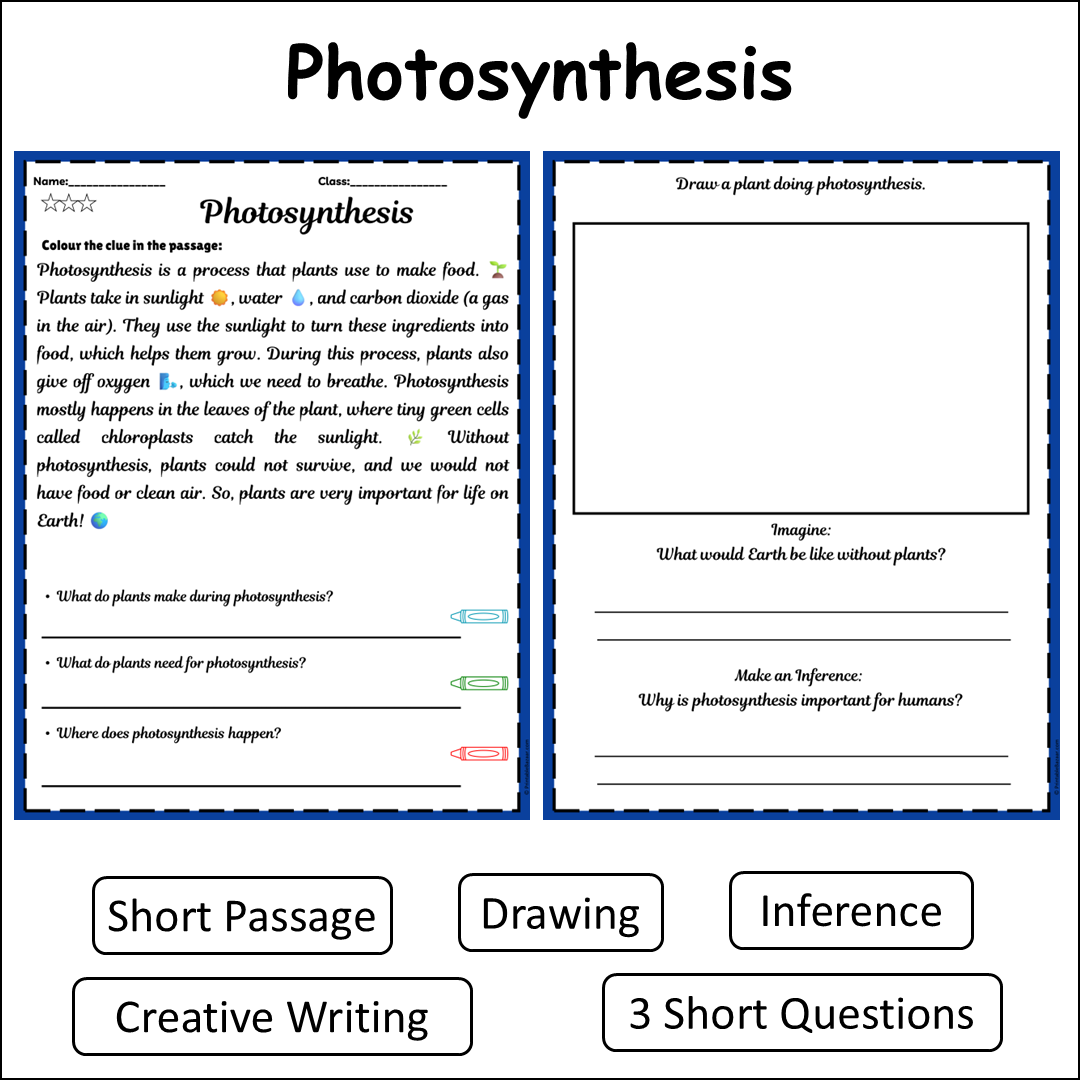 Photosynthesis | Short Reading Comprehension Creative Worksheet