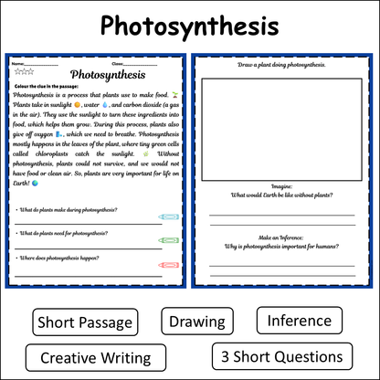 Photosynthesis | Short Reading Comprehension Creative Worksheet