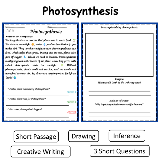 Photosynthesis | Short Reading Comprehension Creative Worksheet