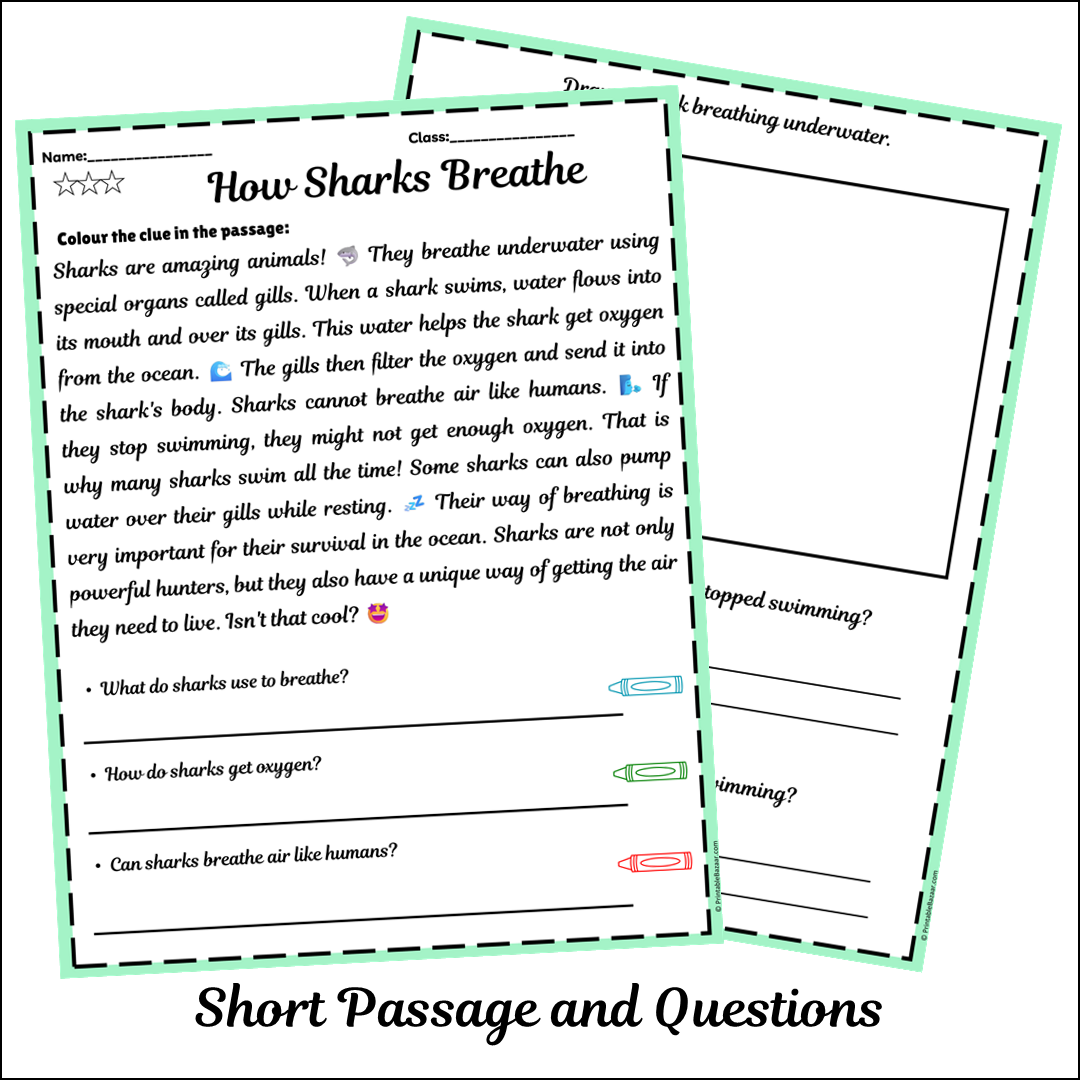 How Sharks Breathe | Short Reading Comprehension Creative Worksheet