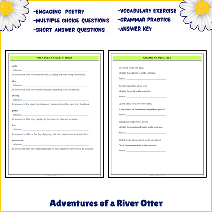 Adventures of a River Otter | Poem Grammar Worksheet Printable Activity