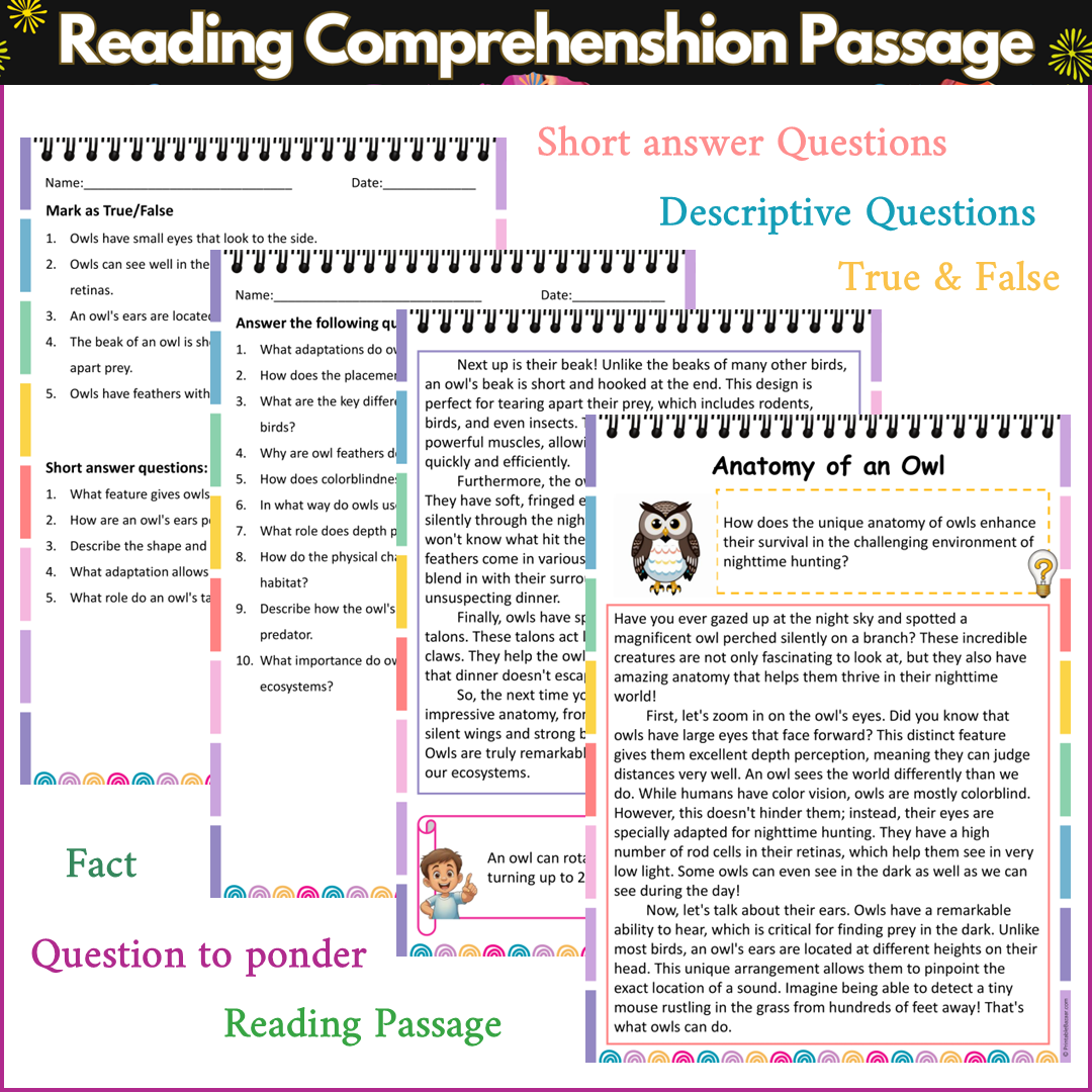 Anatomy of an Owl | Reading Comprehension Passage and Questions