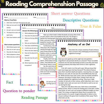Anatomy of an Owl | Reading Comprehension Passage and Questions