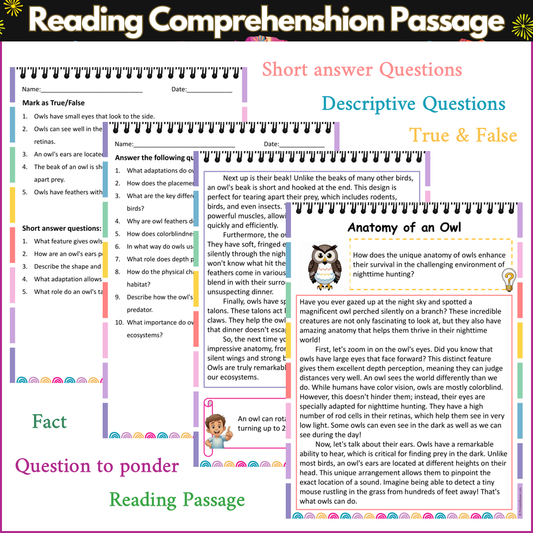 Anatomy of an Owl | Reading Comprehension Passage and Questions