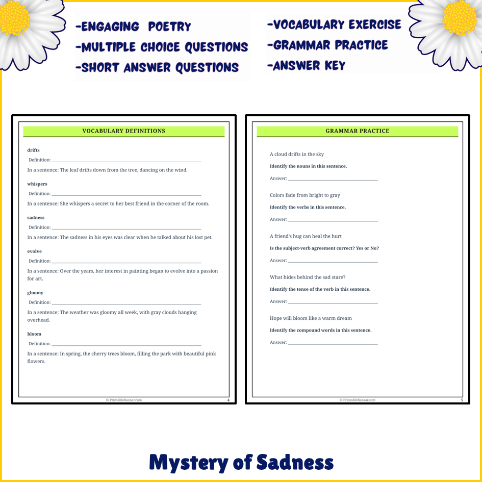 Mystery of Sadness | Poem Grammar Worksheet Printable Activity