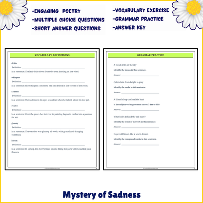 Mystery of Sadness | Poem Grammar Worksheet Printable Activity