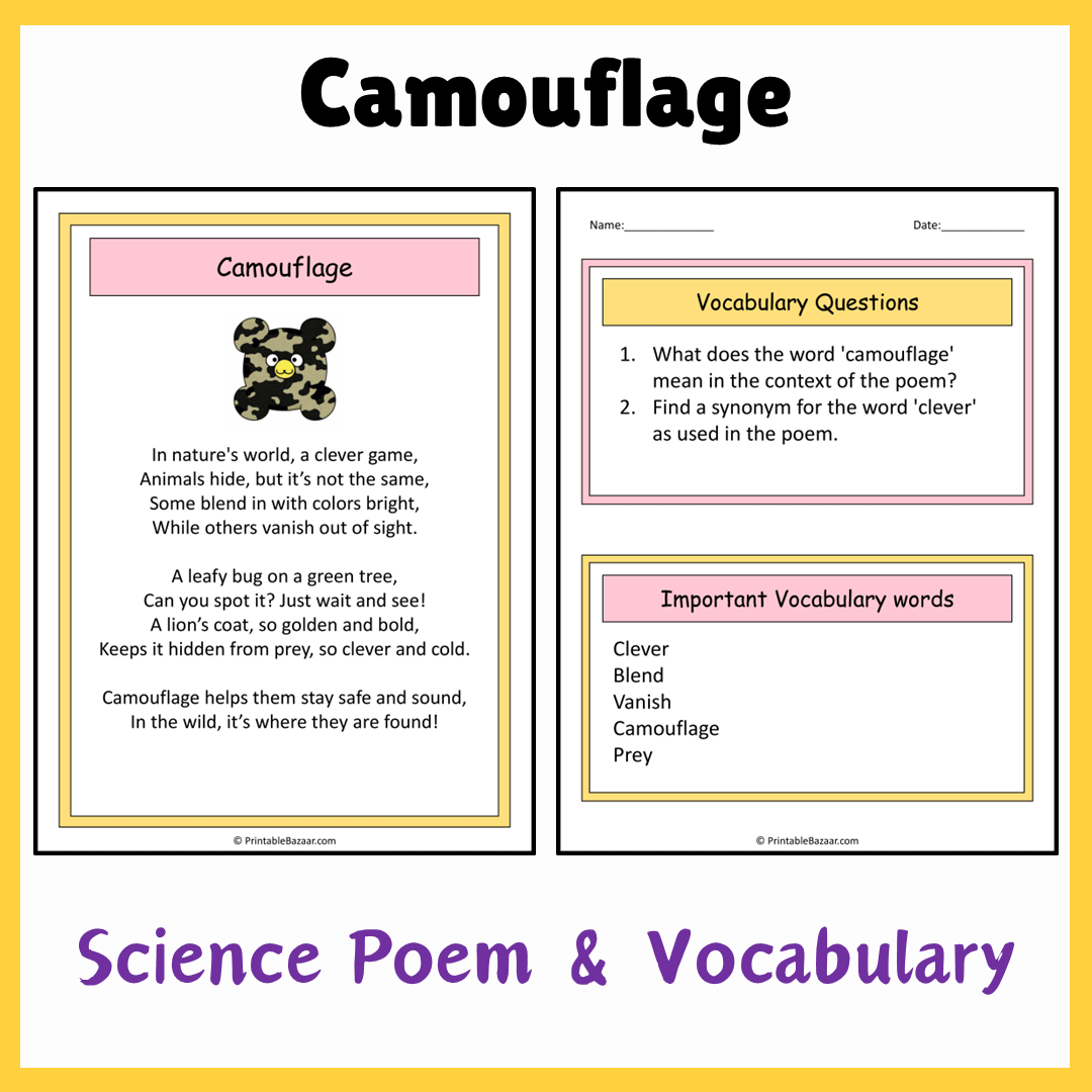 Camouflage | Science Poem Reading Comprehension Activity