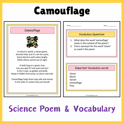 Camouflage | Science Poem Reading Comprehension Activity