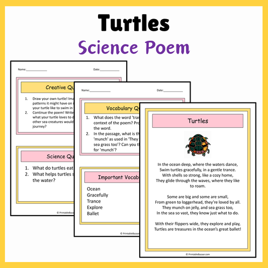 Turtles | Science Poem Reading Comprehension Activity