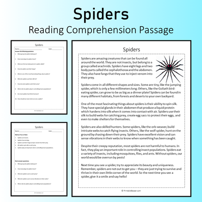 Spiders | Reading Comprehension Passage Printable Worksheet