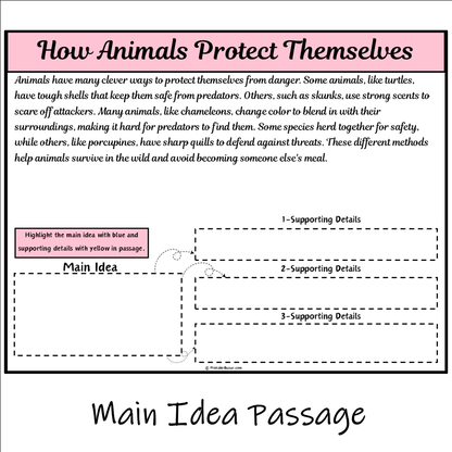 How Animals Protect Themselves | Main Idea and Supporting Details Reading Passage and Questions