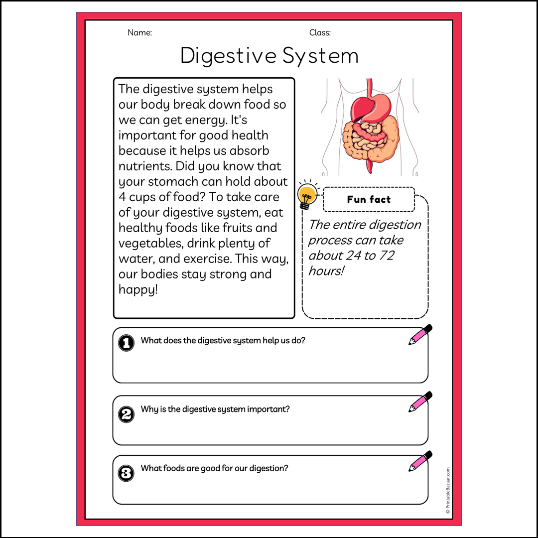 Digestive System | Reading Passage Comprehension Questions Writing Facts Worksheet