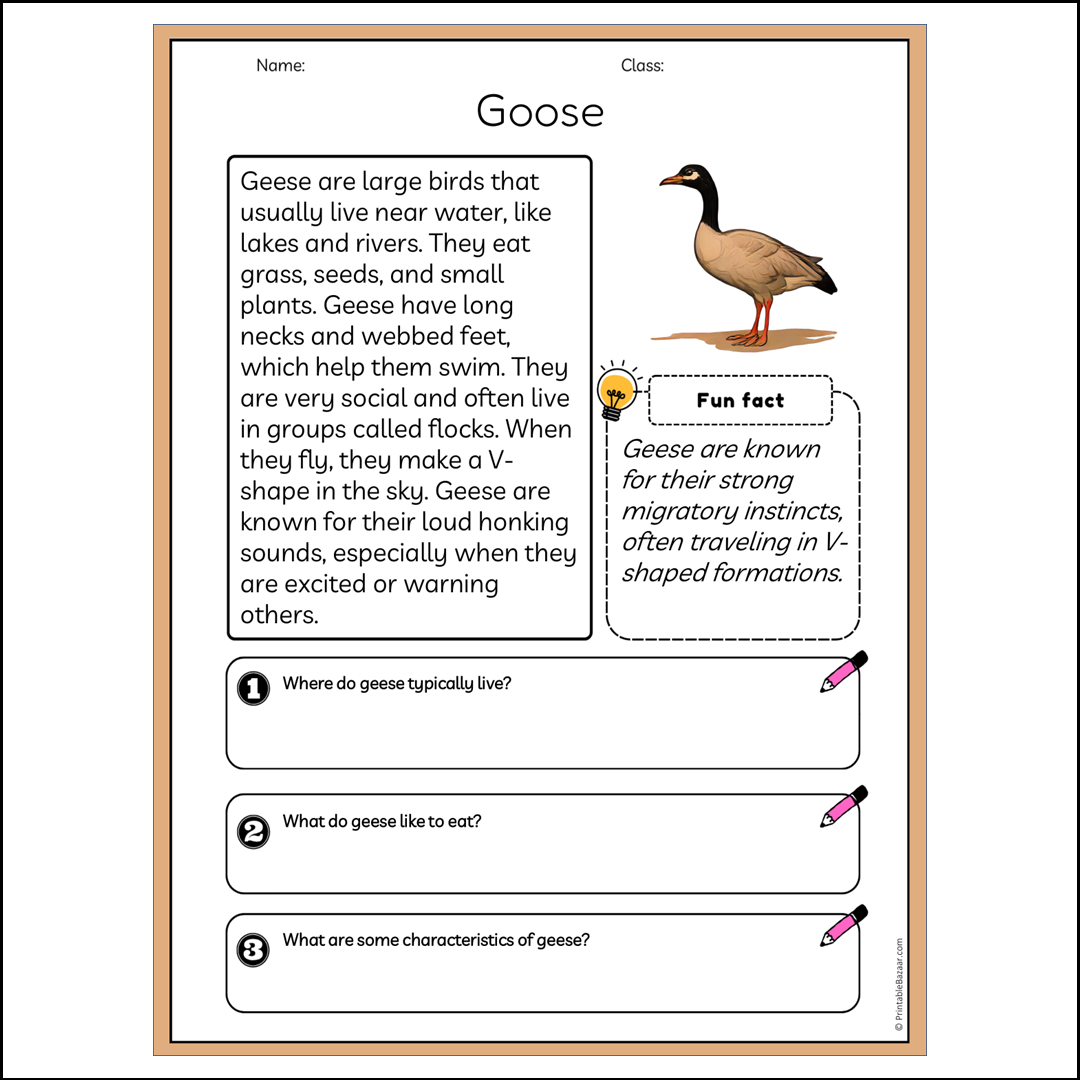 Goose | Reading Passage Comprehension Questions Writing Facts Worksheet