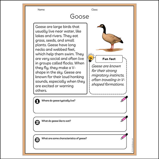 Goose | Reading Passage Comprehension Questions Writing Facts Worksheet