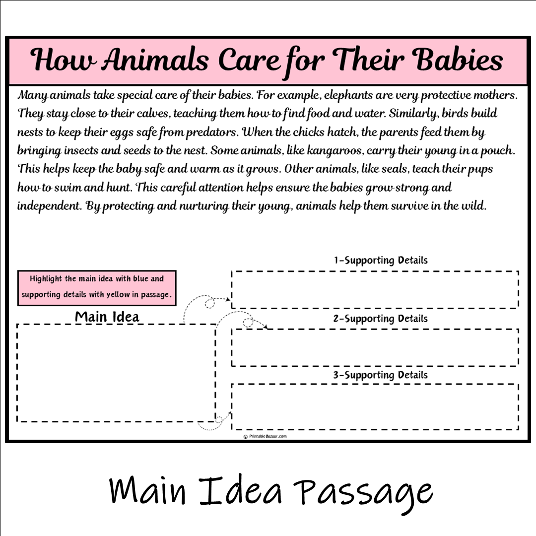 How Animals Care for Their Babies | Main Idea and Supporting Details Reading Passage and Questions